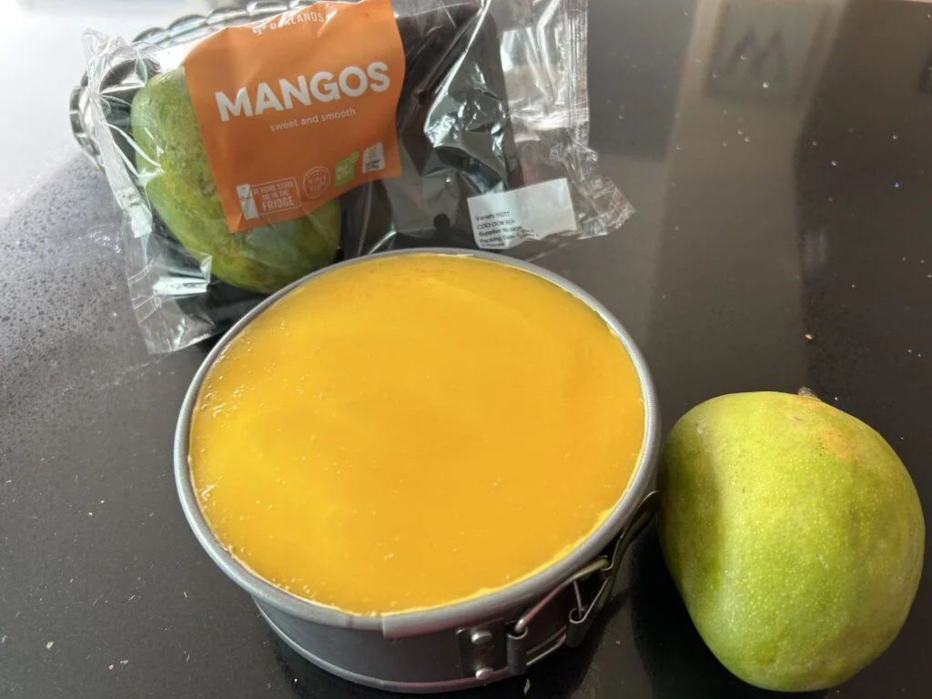 Mango Cheesecake - photo 3